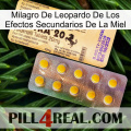 Leopard Miracle Of Honey Side Effects new06